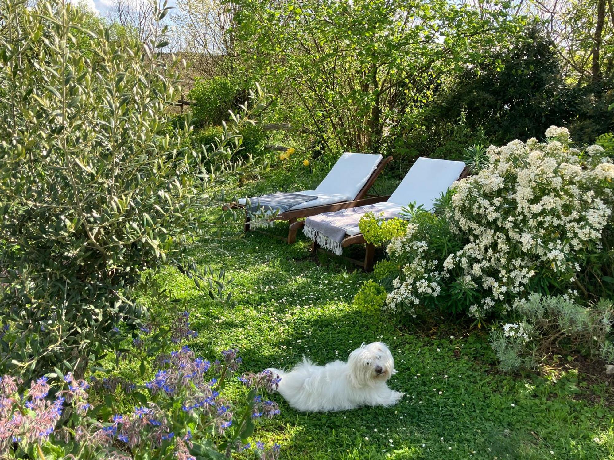 Maison Boheme Rou-Marson Zewnętrze zdjęcie